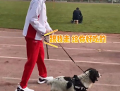 小姐姐与警犬,守护平安的温馨搭档